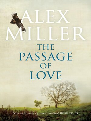 cover image of The Passage of Love